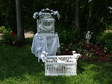 Envol�es de colombes